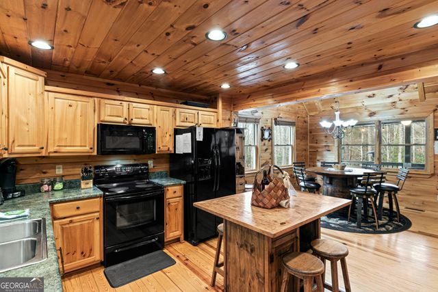 850 Mountain Lake Circle, Blue Ridge, GA 30513