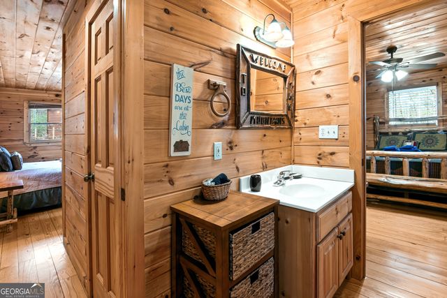 850 Mountain Lake Circle, Blue Ridge, GA 30513