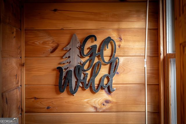 850 Mountain Lake Circle, Blue Ridge, GA 30513