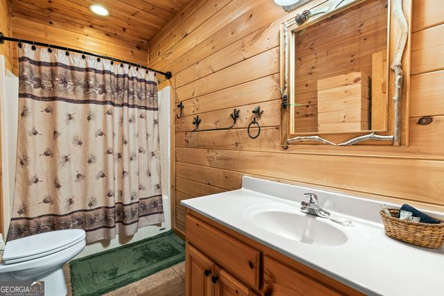 850 Mountain Lake Circle, Blue Ridge, GA 30513