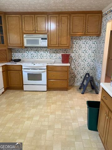 167 Fortune Loop Road, Swainsboro, GA 30401