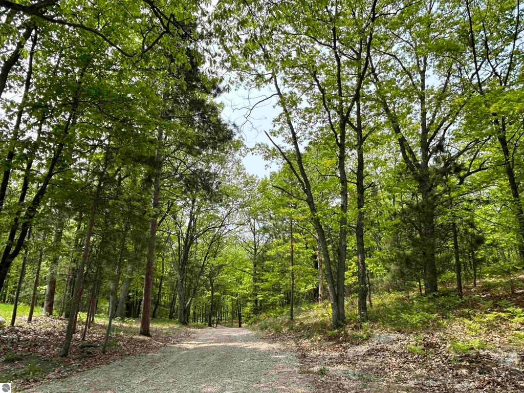 Wooded path through lush greenery, showcasing the natural landscape surrounding the custom home at 3423 Holiday Ridge Road, Traverse City, MI, emphasizing privacy and access to outdoor trails.