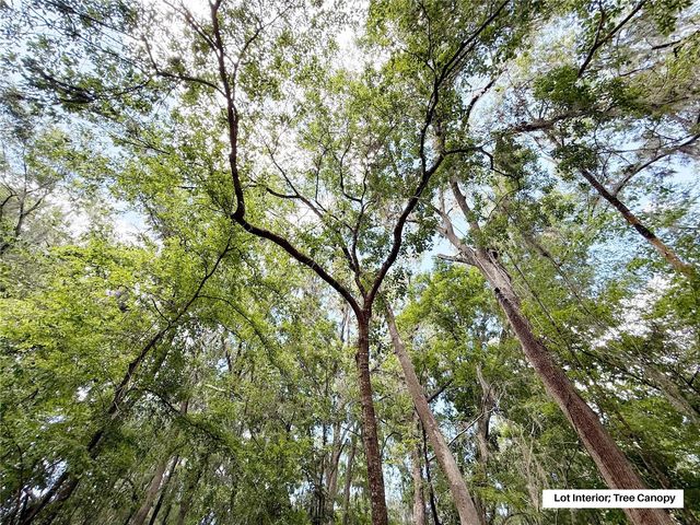 SW 45TH STREET, Ocala, FL 34471
