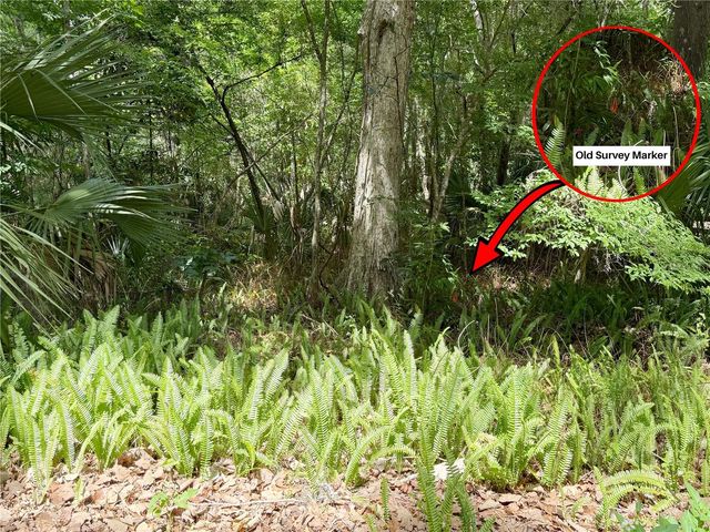 SW 45TH STREET, Ocala, FL 34471