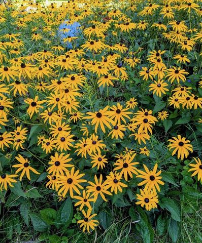 551 W Grouse Road, Gleason, WI 54435