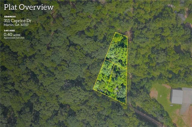 311 Caprice Drive, Martin, GA 30557