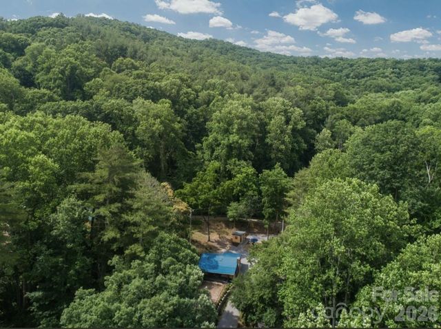 168 Avondale Road, Asheville, NC 28803