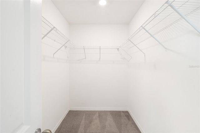 7028 SAMUEL IVY DRIVE, Tampa, FL 33619