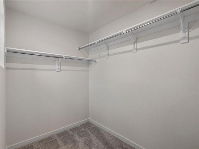 10764 Lewanee Point, Colorado Springs, CO 80908