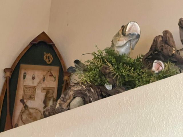 101 Lost Creek Circle 5, Branson West, MO 65737