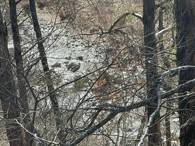 101 Lost Creek Circle 5, Branson West, MO 65737