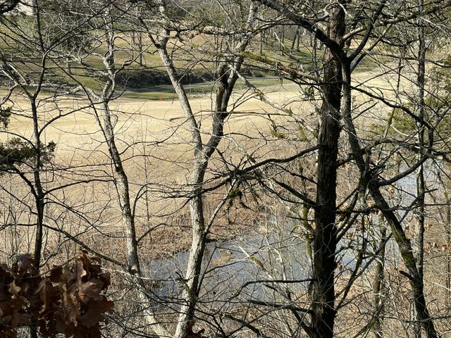 101 Lost Creek Circle 5, Branson West, MO 65737