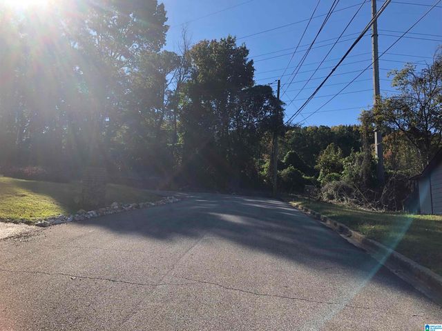 716 DUBLIN AVENUE, Birmingham, AL 35212