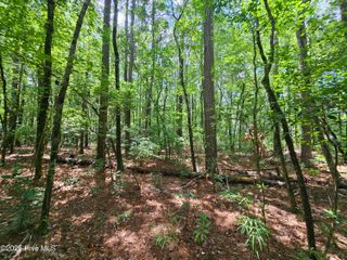 1429 Forest Acres Drive, Greenville, NC 27834