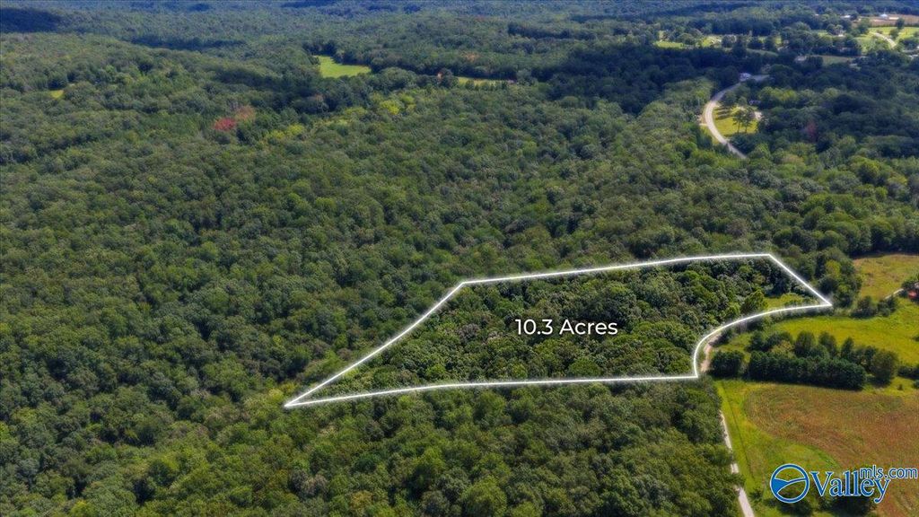 10.3 Acres Cherokee Ridge Road, Grant, AL 35747