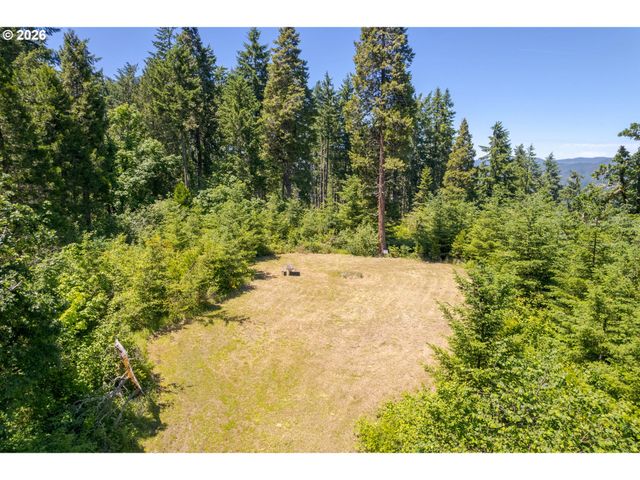 8563 McKenzie Hwy, Springfield, OR 97478