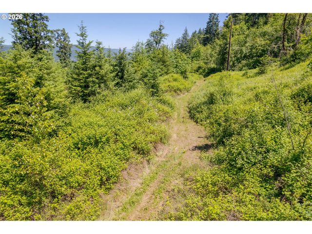 8563 McKenzie Hwy, Springfield, OR 97478