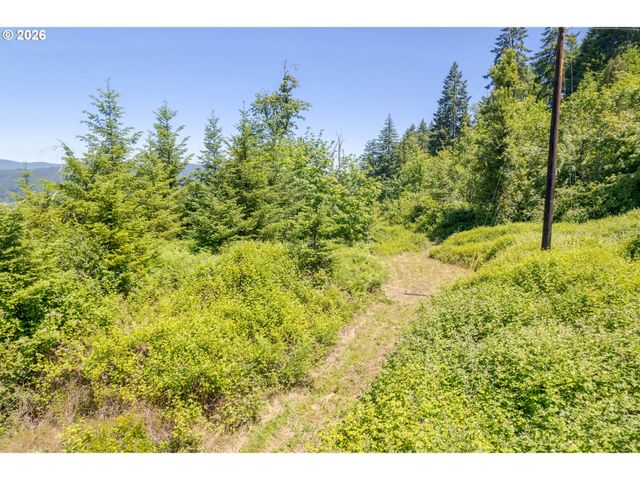 8563 McKenzie Hwy, Springfield, OR 97478