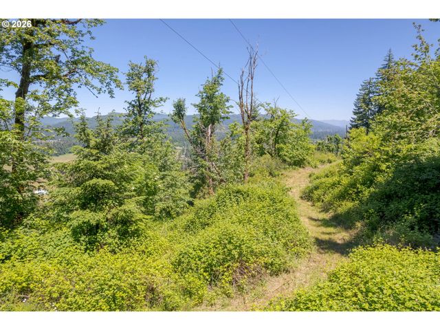 8563 McKenzie Hwy, Springfield, OR 97478