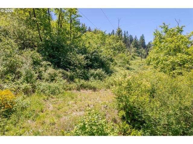 8563 McKenzie Hwy, Springfield, OR 97478