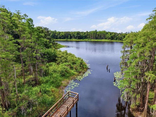 14305 PONDHAWK LANE, Tampa, FL 33625