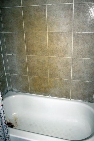 411 Fm 86 Highway, Red Rock, TX 78662