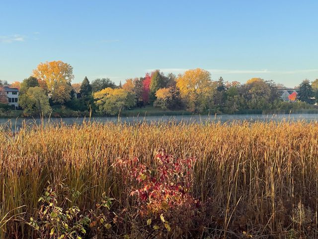 1467 Summit Shores E, Burnsville, MN 55306