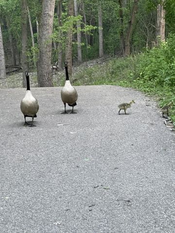 1467 Summit Shores E, Burnsville, MN 55306