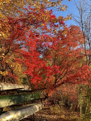 1467 Summit Shores E, Burnsville, MN 55306