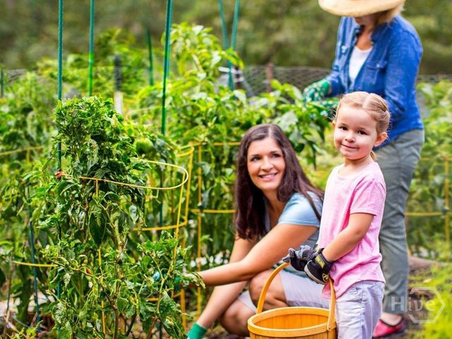 586 Enclave Drive, Richmond Hill, GA 31324