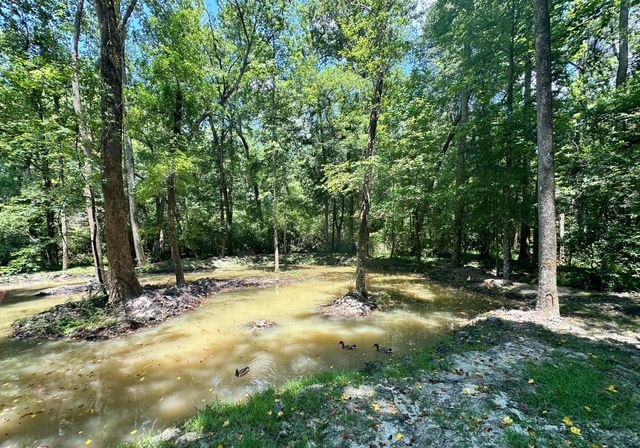 110 Poplar Grove Road, Cope, SC 29038