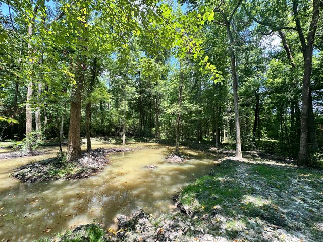 110 Poplar Grove Road, Cope, SC 29038