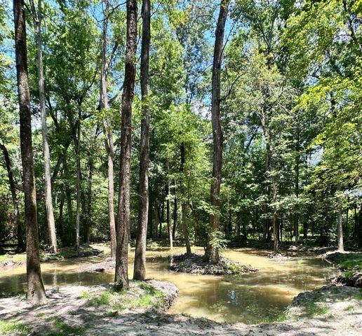 110 Poplar Grove Road, Cope, SC 29038