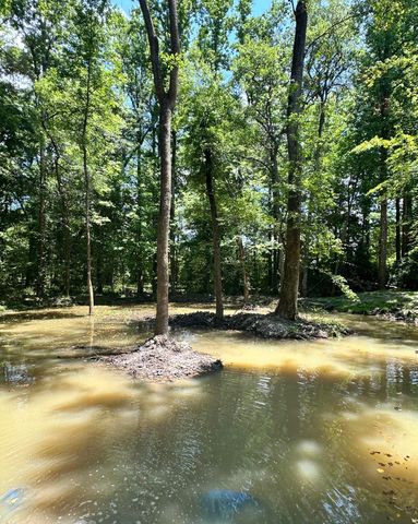 110 Poplar Grove Road, Cope, SC 29038