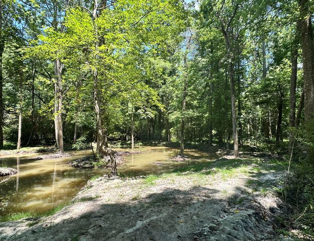 110 Poplar Grove Road, Cope, SC 29038