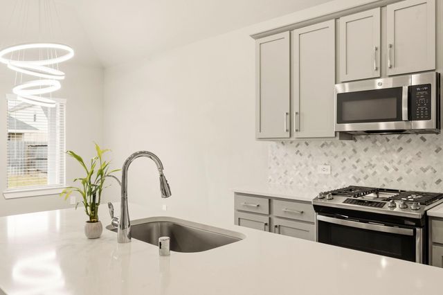 9727 Migrant Hawker Court, Conroe, TX 77385