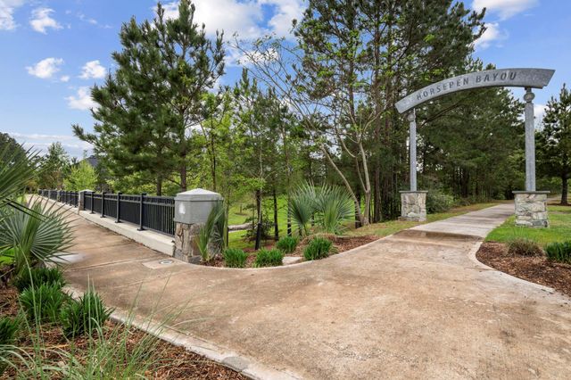 9727 Migrant Hawker Court, Conroe, TX 77385