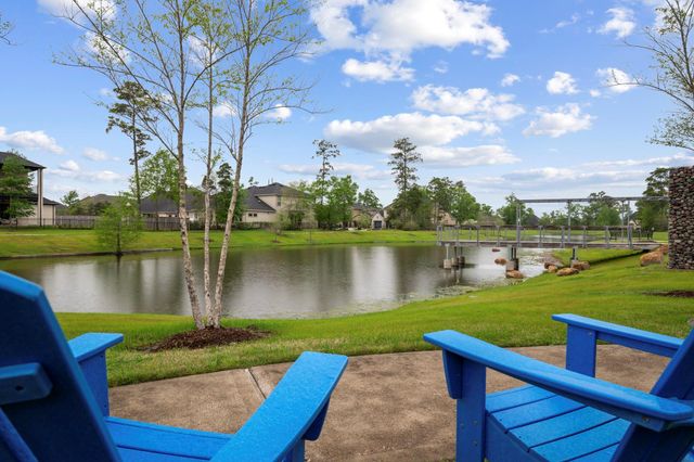 9727 Migrant Hawker Court, Conroe, TX 77385