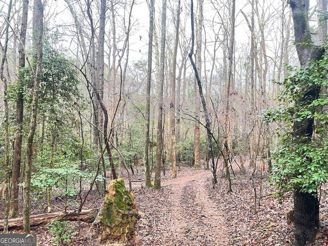 655 Holman Autry Road, Danielsville, GA 30633