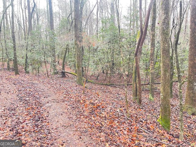 655 Holman Autry Road, Danielsville, GA 30633