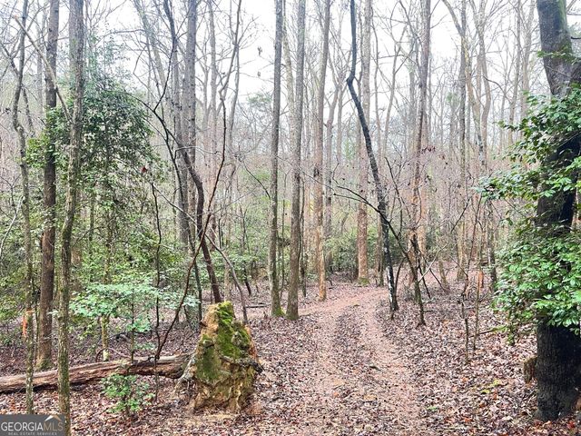 655 Holman Autry Road, Danielsville, GA 30633