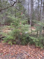 84 Vernon Avenue Also Lots # 103 And 104 On Oak Circle, Haverhill, NH 03765