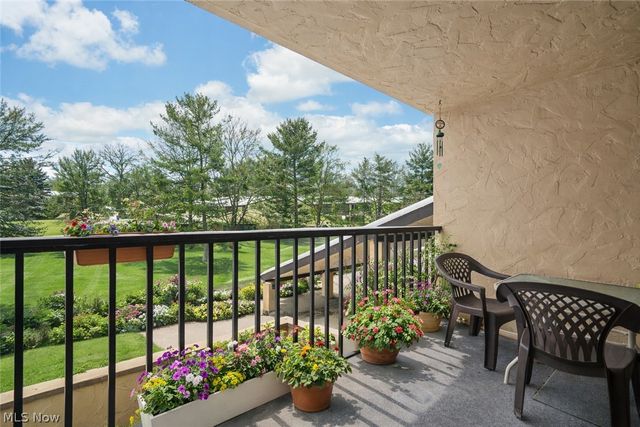 1006 Bunker Drive 203, Fairlawn, OH 44333