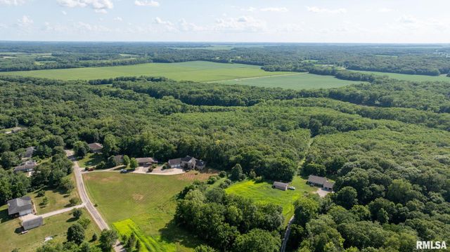 13599 WOODLAND Drive, Athens, IL 62613