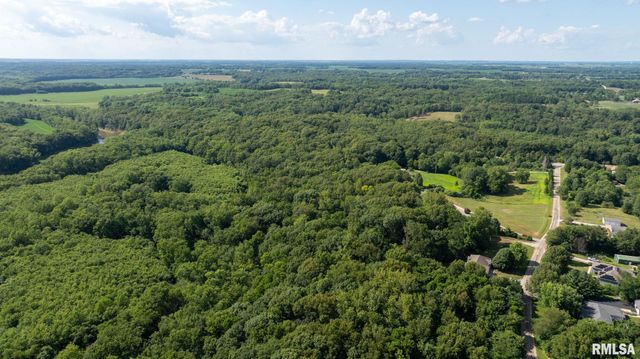 13599 WOODLAND Drive, Athens, IL 62613