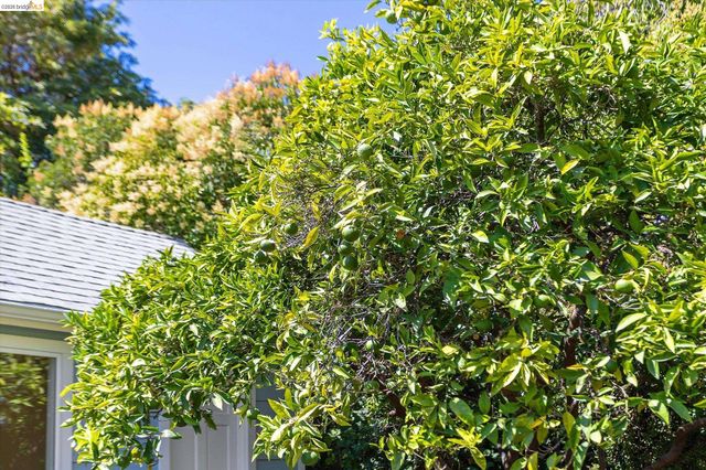 4436 Hyacinth Ave, Oakland, CA 94619