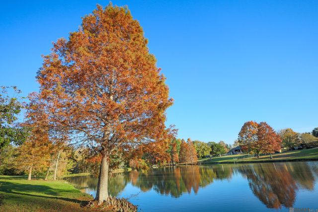 16319 Winding Ridge Ave, Prairieville, LA 70769