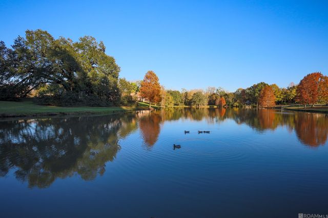 16319 Winding Ridge Ave, Prairieville, LA 70769