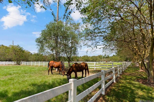 16319 Winding Ridge Ave, Prairieville, LA 70769