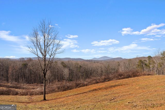 647 Fern Valley Trail, Clarkesville, GA 30523